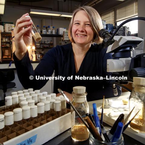 Kristi Montooth, Associate Professor of Biology, has published an article about molecular evolution and ethanol tolerance in Drosophila melanogaster, a fruit fly species. January 12, 2017. Photo by Craig Chandler / University Communication.