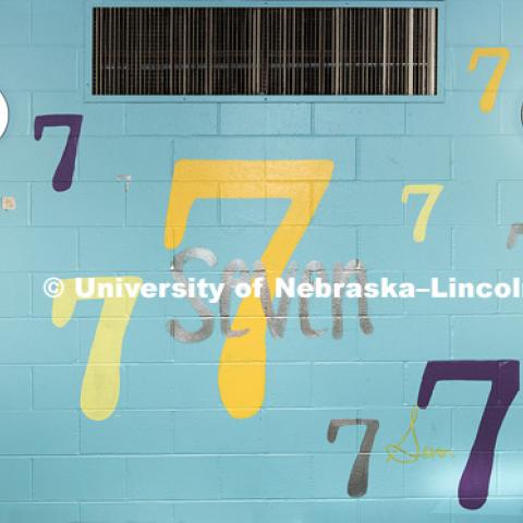 Murals in Cather Residence Hall. Floor murals in to-be-demolished Cather and Pound Residence Halls. May 16, 2017. Photo by Craig Chandler / University Communication.