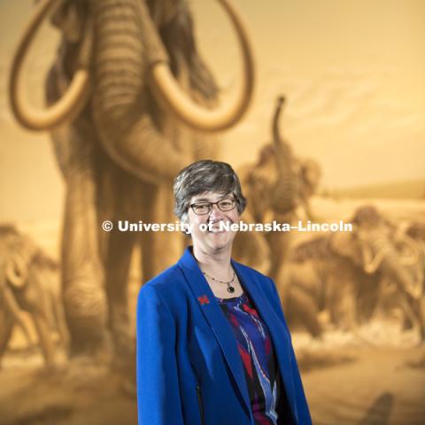 Susan Weller, Director of the University Museum. June 14, 2017. Photo by Craig Chandler / University Communication.