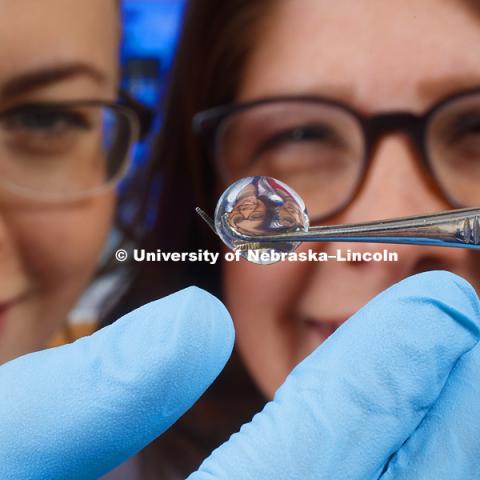 Angela Pannier, Associate Professor of Biological Systems Engineering, right, and BSE graduate student Amy Mantz are refracted in a hydrogel in the Pannier Lab. Her lab uses alginate hydrogels as a three-dimensional matrix to support the growth of cartilage. Photographed for the N150 anniversary book. February 14, 2018. Photo by Craig Chandler / University Communication.