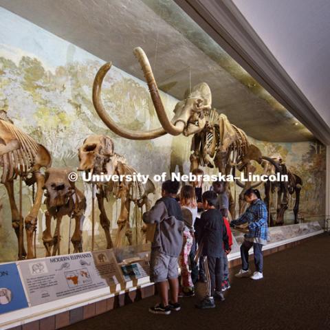 University of Nebraska State Museum in Morrill Hall, photographed for the N150 anniversary book. May 23, 2018. Photo by Craig Chandler / University Communication.