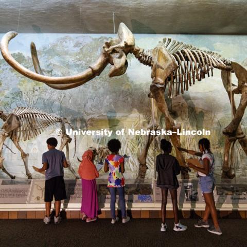 University of Nebraska State Museum in Morrill Hall, photographed for the N150 anniversary book. May 23, 2018. Photo by Craig Chandler / University Communication.