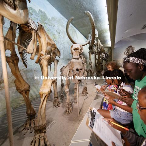 University of Nebraska State Museum in Morrill Hall, photographed for the N150 anniversary book. May 23, 2018. Photo by Craig Chandler / University Communication.