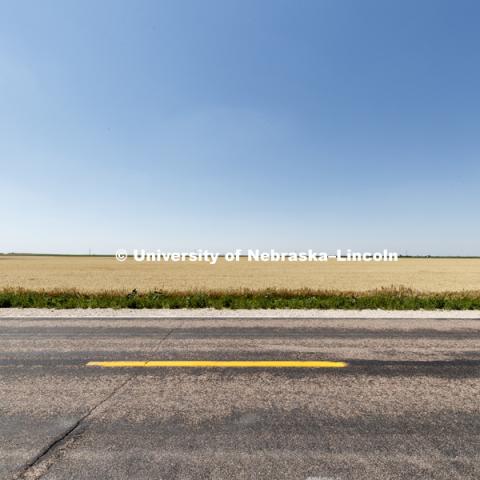 Wheat Harvest in Perkins County Nebraska. July 10, 2018. Photo by Craig Chandler / University Communication.