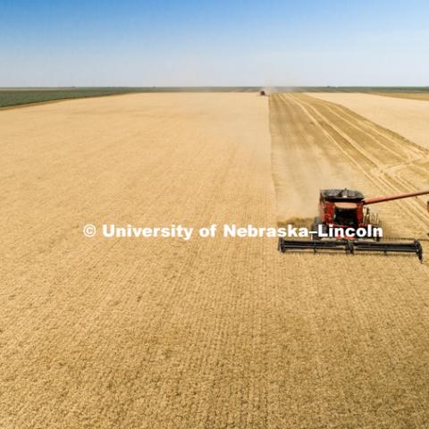 Aerials of Wheat Harvest in Perkins County Nebraska. July 10, 2018. Photo by Craig Chandler / University Communication.