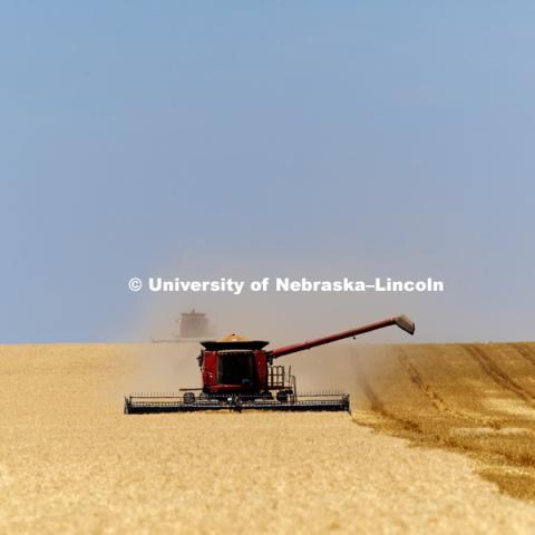 Wheat Harvest in Perkins County Nebraska. July 10, 2018. Photo by Craig Chandler / University Communication.