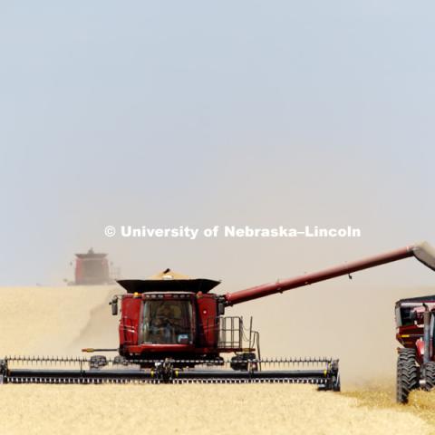 Wheat Harvest in Perkins County Nebraska. July 10, 2018. Photo by Craig Chandler / University Communication.