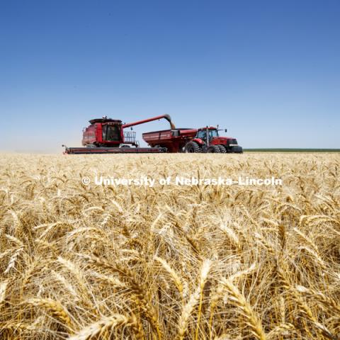 Wheat Harvest in Perkins County Nebraska. July 10, 2018. Photo by Craig Chandler / University Communication.