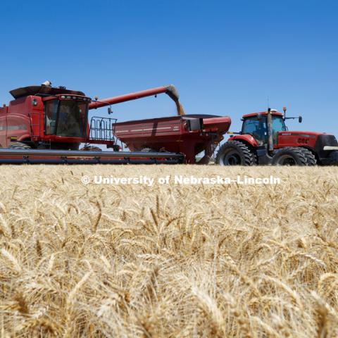 Wheat Harvest in Perkins County Nebraska. July 10, 2018. Photo by Craig Chandler / University Communication.