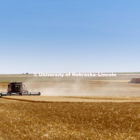 Wheat Harvest in Perkins County Nebraska. July 10, 2018. Photo by Craig Chandler / University Communication.