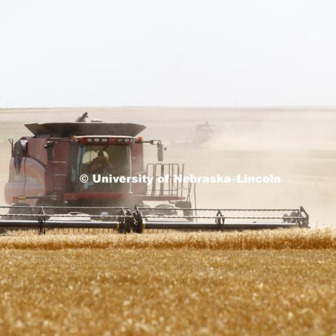 Wheat Harvest in Perkins County Nebraska. July 10, 2018. Photo by Craig Chandler / University Communication.