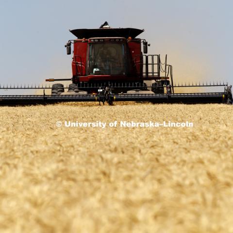 Wheat Harvest in Perkins County Nebraska. July 10, 2018. Photo by Craig Chandler / University Communication.