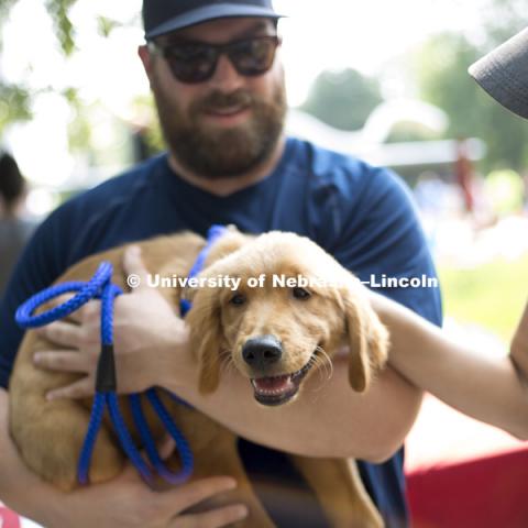 Owners carry a worn out puppy during the Husker Dog fest on August 11, 2018 on the University of Nebraska-Lincoln Campus. Photo by Alyssa Mae for University Communication.