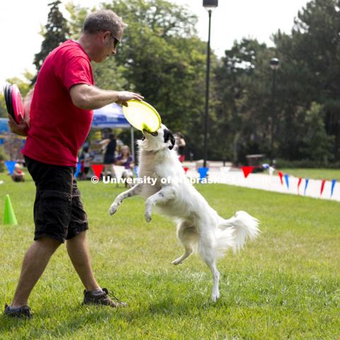 Shane throws a Frisbee to Micco, a dog performer from the Kansas City Disc Dogs, during the Husker Dog fest on August 11, 2018 on the University of Nebraska-Lincoln Campus. Photo by Alyssa Mae for University Communication.