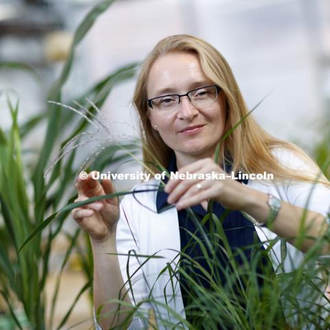 Katarzyna Glowacka, Assistant Professor of Biochemistry, Plant Science Innovation. Beadle Hall. September 24, 2018. Photo by Craig Chandler / University Communication.