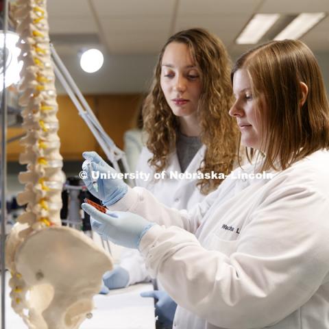 Alexandria Richardson and Sarah Romereim work on samples in Rebecca Wach's lab in Chase Hall. The Nebraska Center for Integrated Biomolecular Communication (NCIBC). November 2, 2018. Photo by Craig Chandler / University Communication.