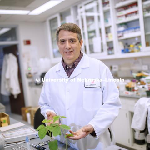 Edgar Cahoon, Professor of Biochemistry, in his Beadle Hall lab. December, 13, 2018. Photo by Craig Chandler / University Communication.