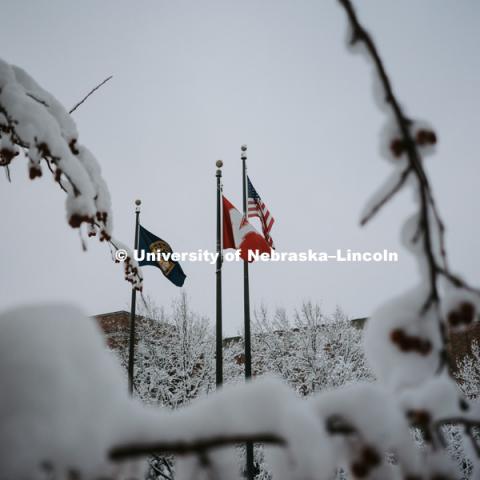 Flags fly high above the snow covered campus near the Canfield Administration Building. January 12, 2019. Photo by Justin Mohling, University Communication.