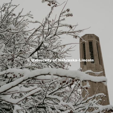 Snow covered trees frame Mueller Bell. January 12, 2019. Photo by Justin Mohling, University Communication.