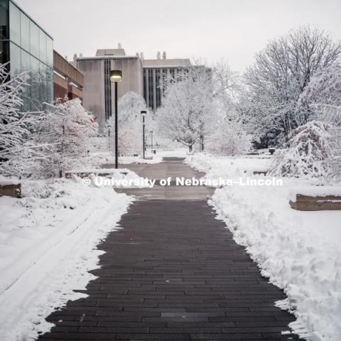 City campus covered in snow, brick walkway near Adele Learning Commons. January 12, 2019. Photo by Justin Mohling, University Communication.