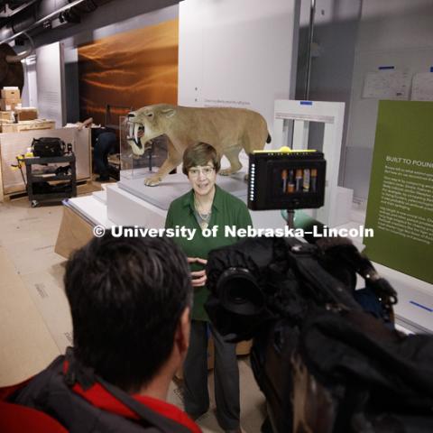 Susan Weller, director of NU State Museum, is interviewed amidst the construction Wednesday. Cherish Nebraska exhibit at Morrill Hall's newly remodeled fourth floor. January 23, 2019. Photo by Craig Chandler / University Communication.
