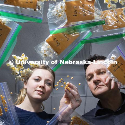 Nebraska's David Holding (right) and graduate student Leandra Marshall (left) are developing lines of popcorn featuring higher levels of lysine, an amino acid essential to the diets of humans and some livestock. They are studying the popped results of a new line of popcorn high in protein in in his lab in the Beadle Center. January 30, 2019. Photo by Craig Chandler / University Communication.