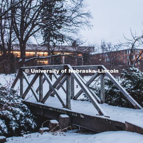 Snow covered bridge in the Maxwell Arboretum between the C.Y. Thompson Library and the College of Dentistry on East Campus. February 11, 2019. Photo by Justin Mohling / University Communication.