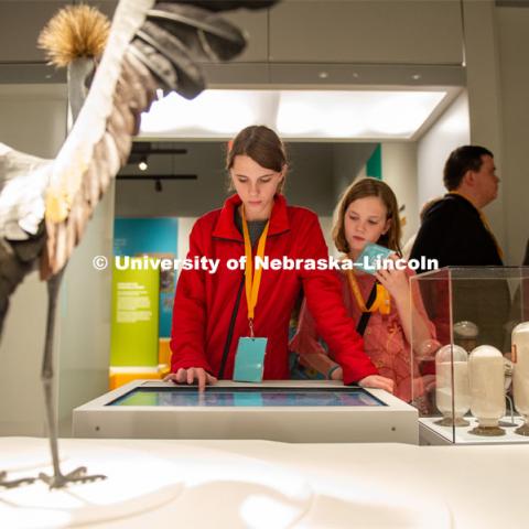 Guests enjoyed the new exhibits at the Cherish Nebraska exhibit, which will open to the public on Saturday, February 16 in the University of Nebraska State Museum in Morrill Hall. The new exhibit spaces celebrate Nebraska's natural heritage - the diversity of life that has been shaped over the millennia by Nebraska's changing environments. February 12, 2019. Photo by Justin Mohling / University Communication.