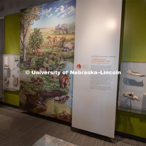 Cherish Nebraska opens to the public on Saturday, February 16 in the University of Nebraska State Museum in Morrill Hall. The new exhibit spaces celebrate Nebraska's natural heritage - the diversity of life that has been shaped over the millennia by Nebraska's changing environments. February 13, 2019. Photo by Greg Nathan / University Communication.