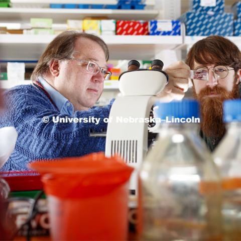 Peter Angeletti, Associate Professor, School of Biological Sciences, and Cameron Klein, graduate student in virology, have discovered a link between the HPV (Human papillomavirus) virus and how various bacteria effect its growth, a link between the cervical microbiome and whether women develop pre-cancerous lesions. February 18, 2019. Photo by Craig Chandler / University Communication.