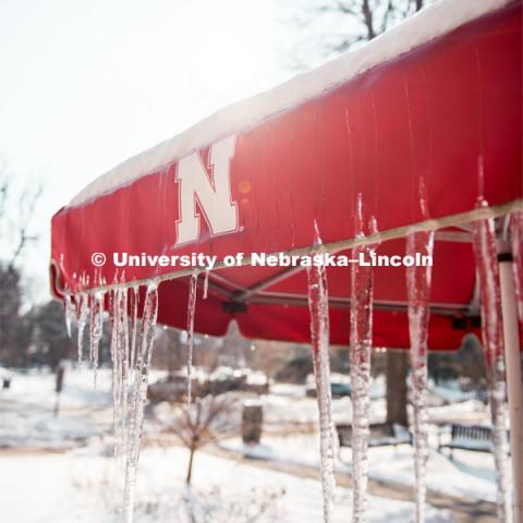 Icicles hang off the umbrellas on this snowy day at the UNL Dairy Store on East Campus. February 20, 2019. Photo by Justin Mohling / University Communication.