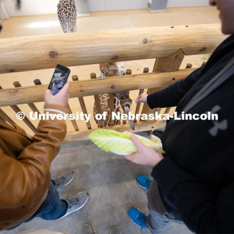 Theme Park Design Group Pin Hao Cheng, Garrett Brockman, John Strope, Brennan Sanders, Kylee Hauxwell, Awang Hashim and Zoe Jirovsky, delivered the enrichment toys for Lincoln Children’s Zoo’s three giraffes. April 2, 2019. Photo by Gregory Nathan / University Communication.