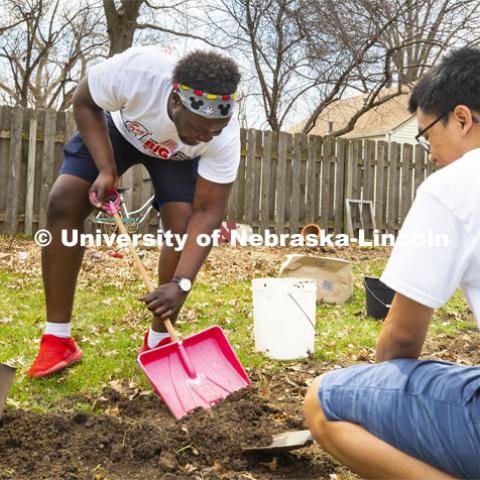 Jada Loro laughs as he tries to use an undersized shovel to move dirt. He and others in the Minority Pre-Health Association painted a shed and cleaned up a yard at their job site. More than 2,500 University of Nebraska–Lincoln students, faculty and staff volunteered for the Big Event on April 6, completing service projects across the community. Now in its 13th year at Nebraska, the Big Event has grown to be the university's single largest student-run community service project. April 6, 2019. Photo by Craig Chandler / University Communication.