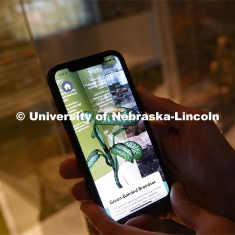 Computer Science and Engineering students built a VR app to enhance the information at the Nebraska State Museum's new Cherish Nebraska exhibit. April 16, 2019. Photo by Craig Chandler / University Communication.