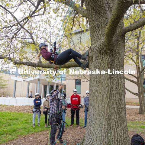 Students in Eric North's NRES 321 - Arboriculture: Maintenance and Selection of Landscape Trees learn to climb on an oak tree behind Hardin Hall Monday afternoon. April 22, 2019. Photo by Craig Chandler / University Communication.