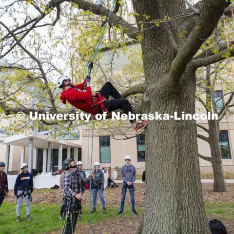 Students in Eric North's NRES 321 - Arboriculture: Maintenance and Selection of Landscape Trees learn to climb on an oak tree behind Hardin Hall Monday afternoon. April 22, 2019. Photo by Craig Chandler / University Communication.