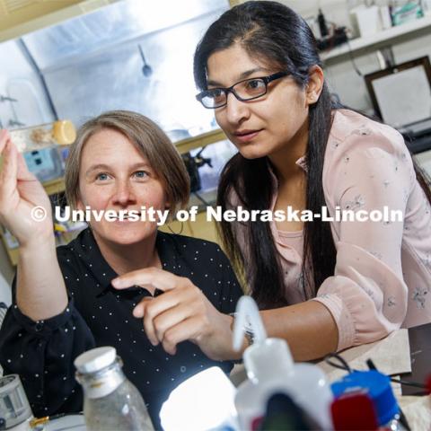 Kristi Montooth, left, and Omera Matoo examine fruit flies in the lab. They've found that mutant flies of a species can adopt different approaches to metabolism during early development but still wind up looking and functioning very similarly to non-mutants. June 10, 2019. Photo by Craig Chandler / University Communication.