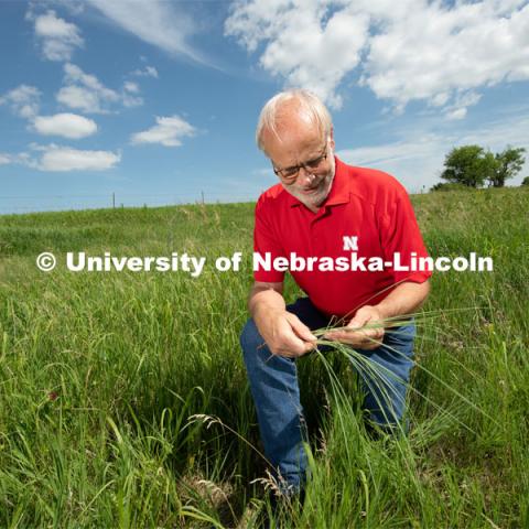 Walter Schacht, professor in Department of Agronomy and Horticulture at the University of Nebraska–Lincoln takes a look at the roots of grass at Nine Mile Prairie. Photo for the 2019 publication of the Strategic Discussions for Nebraska magazine. July 1, 2019, Photo by Gregory Nathan / University Communication.