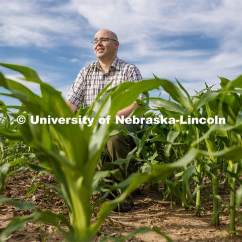 James Schnable, Assistant Professor of Agronomy and Horticulture, is sequencing crop DNA in corn to make it adapt to more specific climates. Photo used for 2018-2019 Annual Report on Research at Nebraska. July 2, 2019. Photo by Craig Chandler / University Communication.