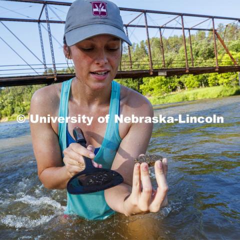 Kayla Vondracek, junior in Environmental Studies, looks over her sand sample. Jessica Corman, assistant professor in the School of Natural Resources, UCARE research group researching algae in the Niobrara River. Fort Niobrara National Wildlife Refuge. July 12, 2019. Photo by Craig Chandler / University Communication.