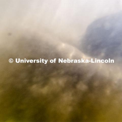 A sand sample is lifted off the bottom of the Niobrara River. Jessica Corman, assistant professor in the School of Natural Resources, UCARE research group researching algae in the Niobrara River. Fort Niobrara National Wildlife Refuge. July 12, 2019. Photo by Craig Chandler / University Communication.