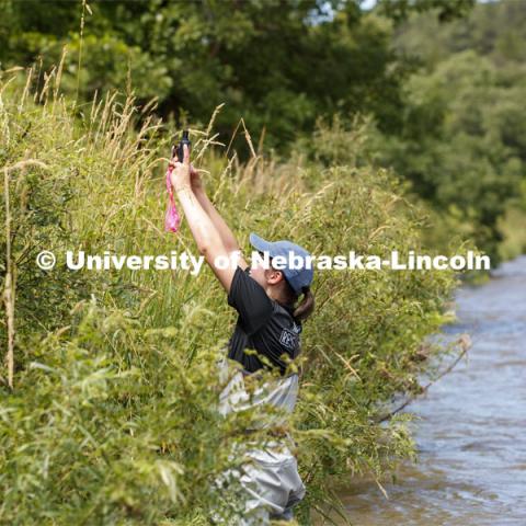 Sydney Kimnach, sophomore in environmental studies and fisheries and wildlife management, researches algae in the Niobrara River. Jessica Corman, assistant professor in the School of Natural Resources, UCARE research group researching algae in the Niobrara River. Fort Niobrara National Wildlife Refuge. July 13, 2019. Photo by Craig Chandler / University Communication.