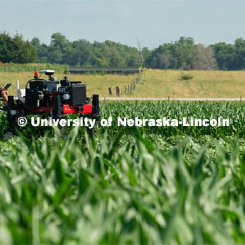 Santosh Pitla, associate professor of advanced machinery systems in the Department of Biological Systems Engineering at the University of Nebraska–Lincoln, is currently developing an autonomous tractor using ground robotics. Pitla and his team are testing their driverless tractor at the Agricultural Research and Development Center (ARDC, MEAD). The autonomous tractors are named Flexible Structured Robotic Vehicle (FlexRo), the tractor is currently used for plant phenotyping, which is measuring the physical characteristics of the plant. According to Pitla, cameras are added to the machine to collect images that characterize plant conditions. Photo for the 2019 publication of the Strategic Discussions for Nebraska magazine. July 17, 2019, Photo by Gregory Nathan / University Communication. 

