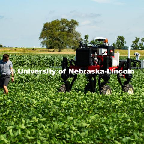 Santosh Pitla, associate professor of advanced machinery systems in the Department of Biological Systems Engineering at the University of Nebraska–Lincoln, is currently developing an autonomous tractor using ground robotics. Pitla and his team are testing their driverless tractor at the Agricultural Research and Development Center (ARDC, MEAD). The autonomous tractors are named Flexible Structured Robotic Vehicle (FlexRo), the tractor is currently used for plant phenotyping, which is measuring the physical characteristics of the plant. According to Pitla, cameras are added to the machine to collect images that characterize plant conditions. Photo for the 2019 publication of the Strategic Discussions for Nebraska magazine. July 17, 2019, Photo by Gregory Nathan / University Communication. 

