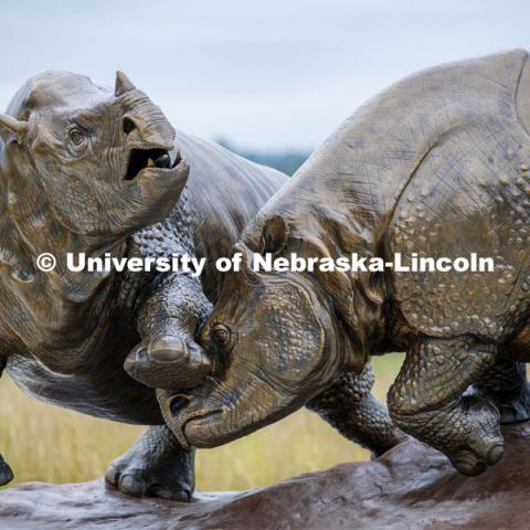 Ashfall rhinos, a sculpture by artist Gary Staab welcomes visitors to Ashfall Fossil Beds State Historical Park. Ashfall Fossil Beds State Historical Park in north central Nebraska. August 2, 2019. Photo by Craig Chandler / University Communication.