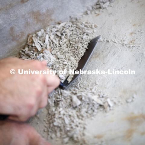 Raymond Dierdorf, an intern at the park, removes layers of ash over a rhino skull. Ashfall Fossil Beds State Historical Park in north central Nebraska. August 2, 2019. Photo by Craig Chandler / University Communication.