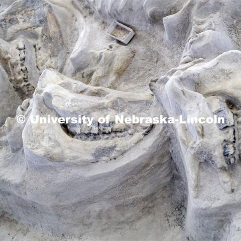 Ashfall Fossil Beds State Historical Park in north central Nebraska. August 2, 2019. Photo by Craig Chandler / University Communication.