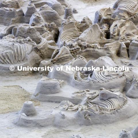 Ashfall Fossil Beds State Historical Park in north central Nebraska. August 2, 2019. Photo by Craig Chandler / University Communication.