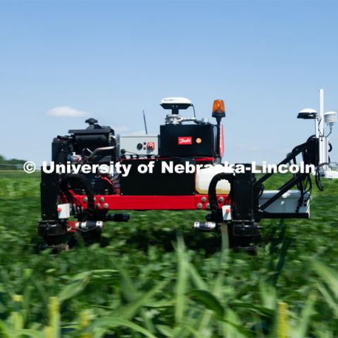 Santosh Pitla, associate professor of advanced machinery systems in the Department of Biological Systems Engineering at the University of Nebraska–Lincoln, is currently developing an autonomous tractor using ground robotics. Pitla and his team are testing their driverless tractor at the Agricultural Research and Development Center (ARDC, MEAD). The autonomous tractors are named Flexible Structured Robotic Vehicle (FlexRo), the tractor is currently used for plant phenotyping, which is measuring the physical characteristics of the plant. According to Pitla, cameras are added to the machine to collect images that characterize plant conditions. Photo for the 2019 publication of the Strategic Discussions for Nebraska magazine. July 17, 2019, Photo by Gregory Nathan / University Communication. 

