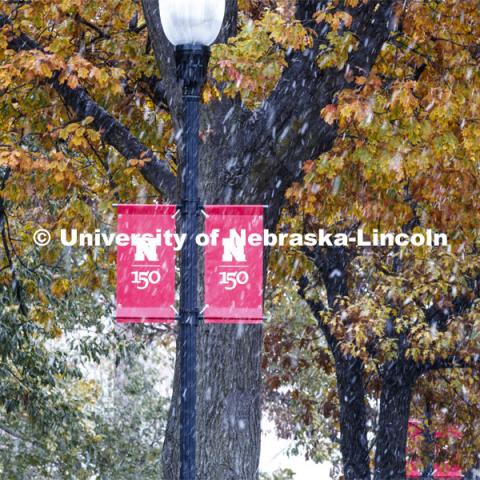 The trees are still holding their fall leaves as the snow falls. Snow on campus. October 30, 2019. Photo by Craig Chandler / University Communication.